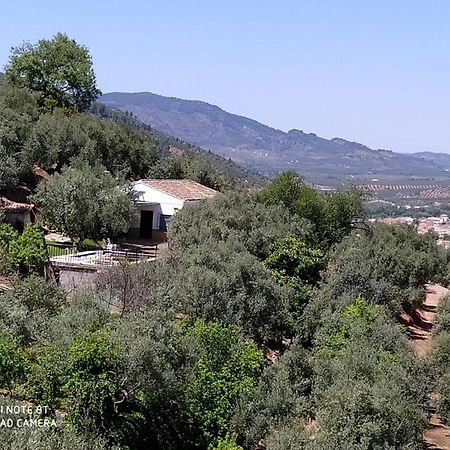 Cortijo Las Lagunillas La Puerta de Segura المظهر الخارجي الصورة